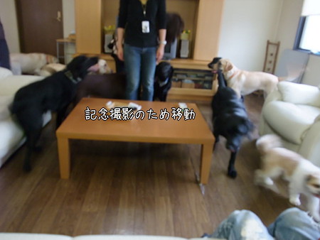 移動