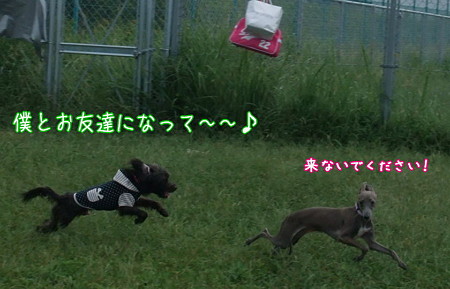 あそぼ