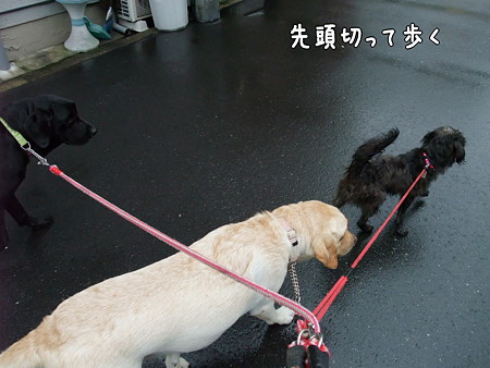 先頭