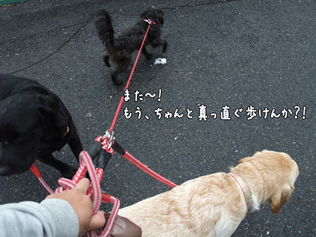 また・・・