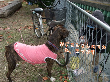 こんにちわ