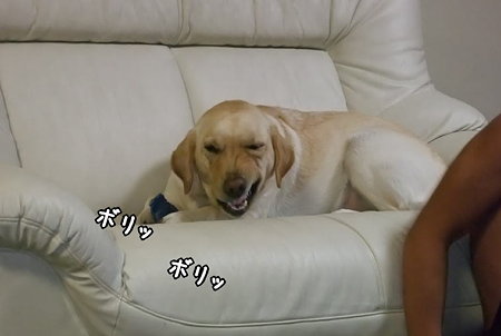 ボリッ