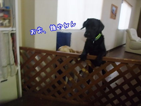 誰やねん