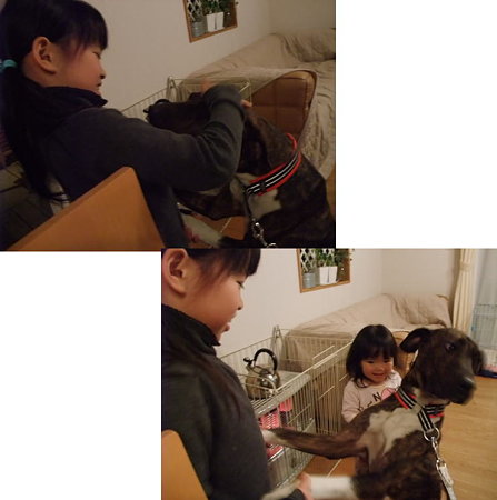 子供大好きエマ