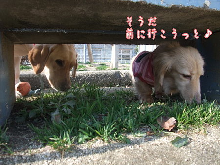 前に・・・