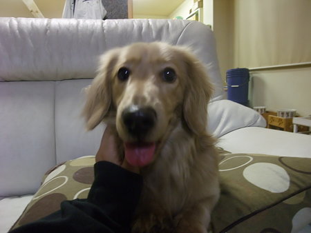かわいい顔してるでしょ♪
