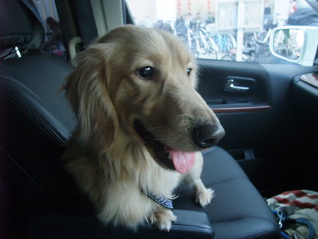 行きの車の中