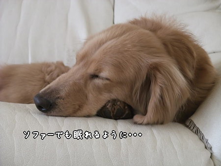 ソファーでも眠れるように…