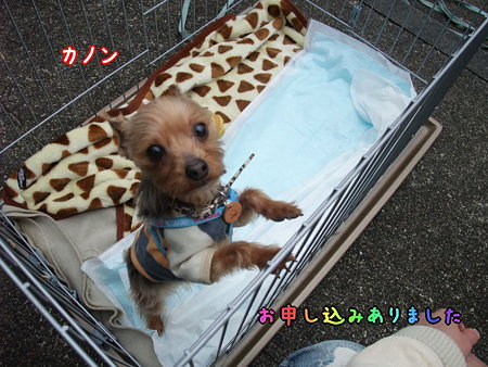 カノン