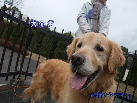 大介