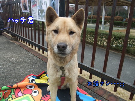 ハッチ