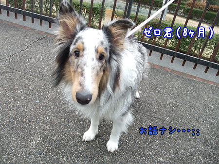 ゼロ