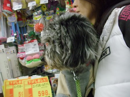 結局抱っこ・・・