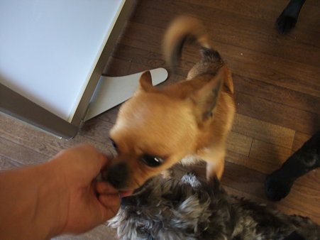一番小さいくせに