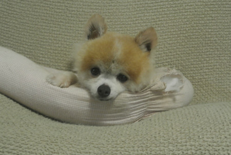 なんでいつも泣きそうな顔してるん~