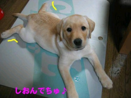 クールボード