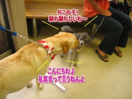 病院1