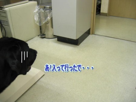 病院7