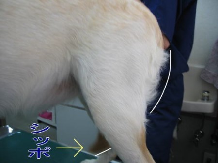 病院17