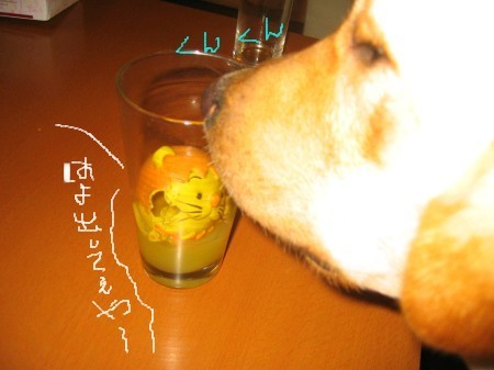 画像 2538