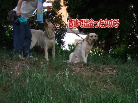 8-7散歩4