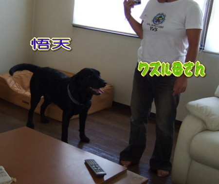wans6