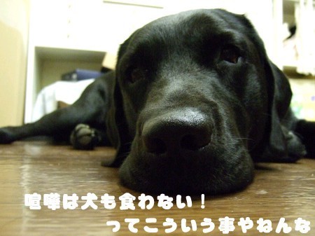 写真またはビデオ 138