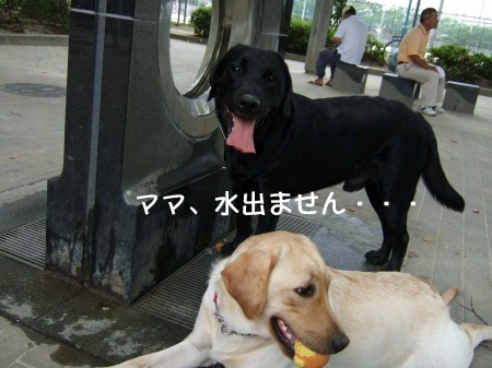 水