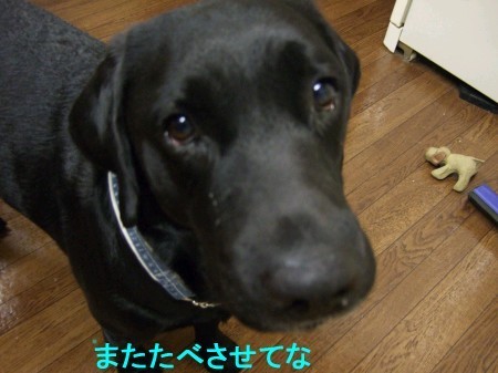 涙