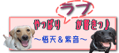 チチ★バナー