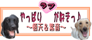バナー中