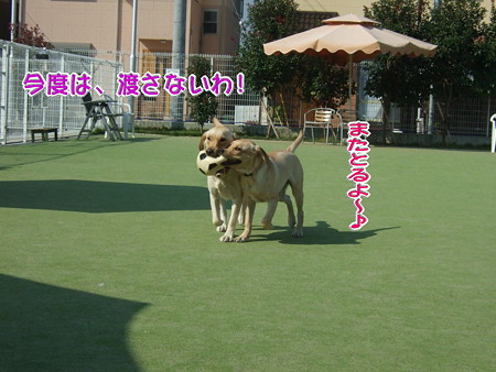 なかよし♪