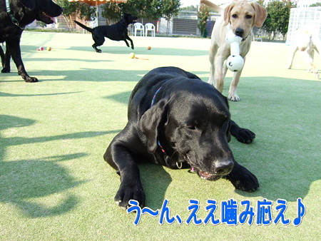 ええ感じ♪