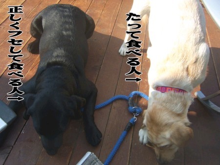 違い