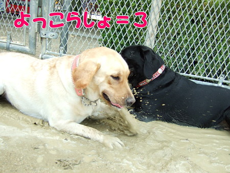 よっこらしょ