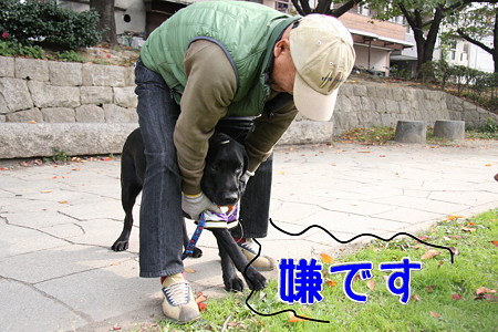 拒否