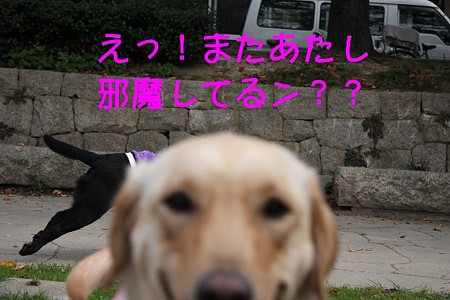 邪魔専門