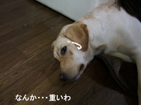 重い