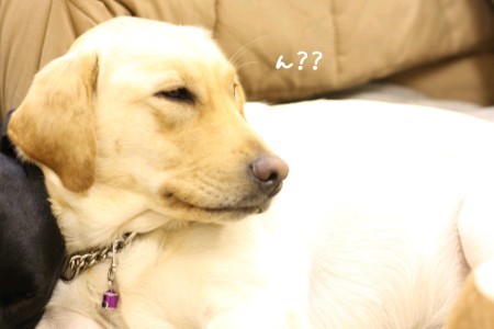 ん??