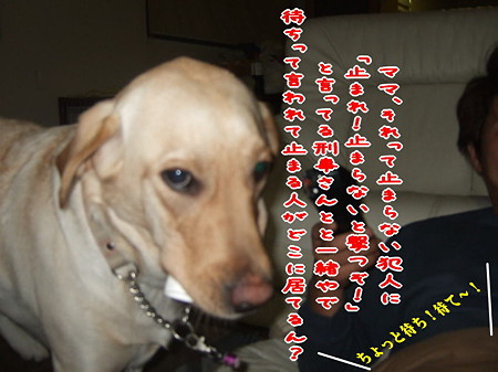 待て