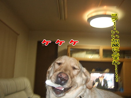 щ( ̄∀ ̄)ш ヶヶヶ