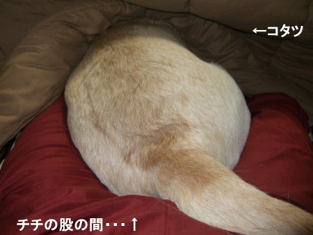 そんなとこで寝んでも・・・