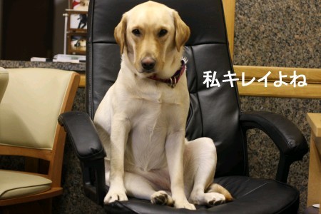 再びキレイ?