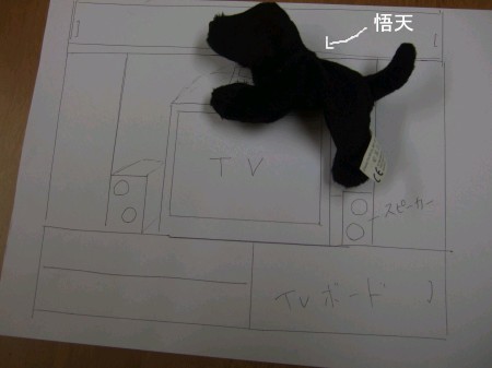 こんな風になってた・・・