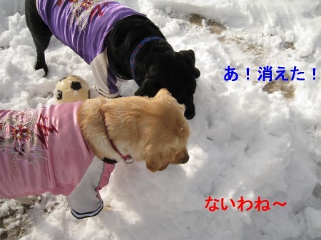 ボールが消えた
