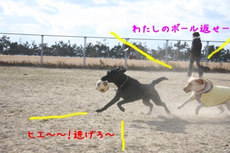 追いかける