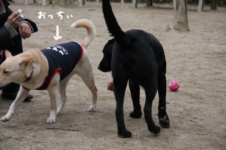 おっちぃ