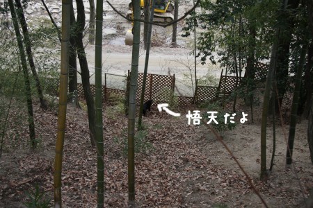 降りれた!