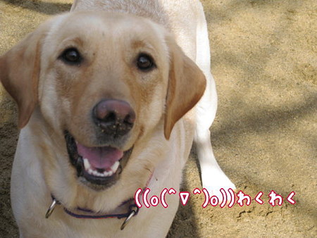公園5