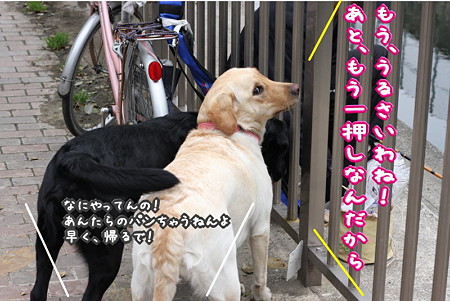 もう一押し?!